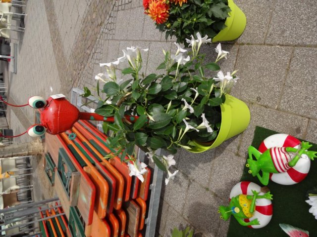 dsc00119